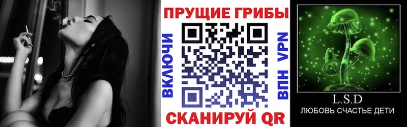 купить наркотик  Вязники  Галлюциногенные грибы мицелий 
