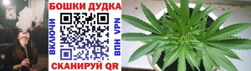 Бошки марихуана сатива  Вязники 